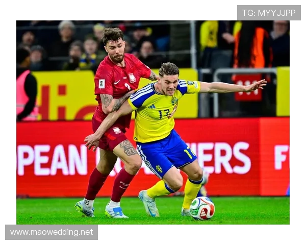 世界杯预选赛怎么算晋级（世界杯预选赛怎么晋级的规则）sports